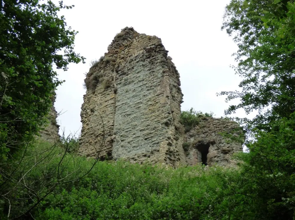 Photo de Ruines du château de Wigmore - Historic England