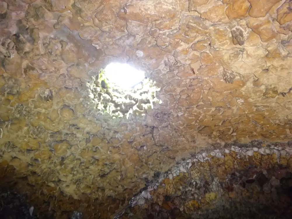Photo de Grotte à environ 85 mètres au sud de Goldney House - Historic England