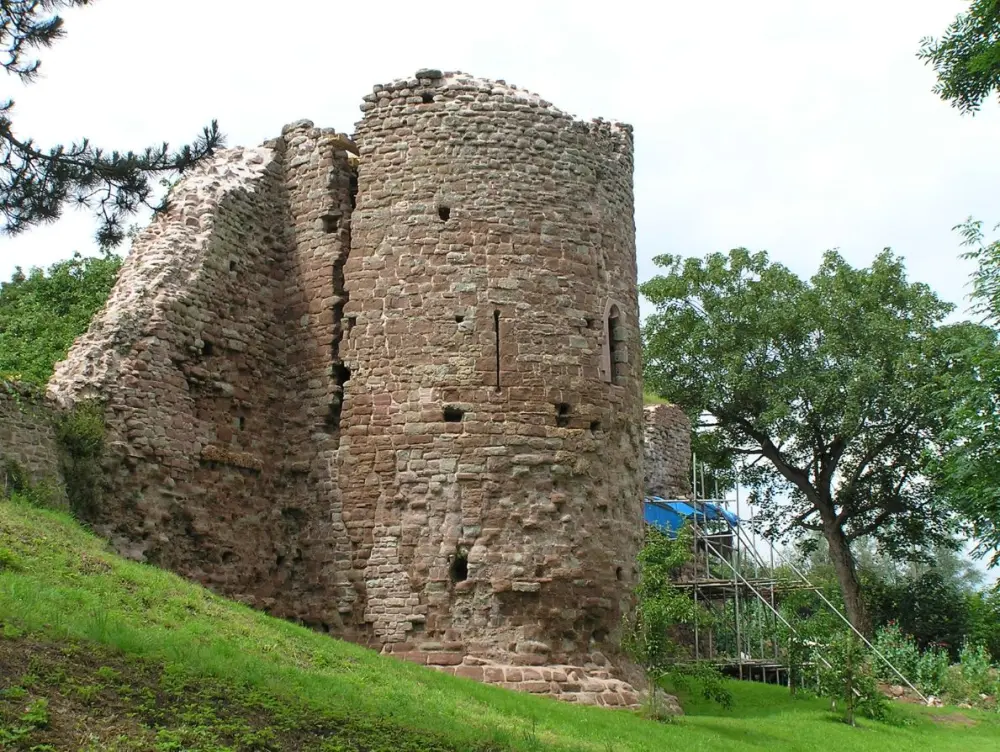 Photo de Ruines du château de Wilton et de la maison attachée au sud - Historic England / Paul Adams