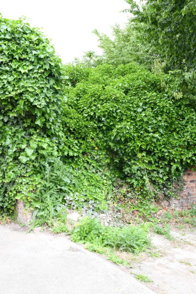 Photo de Mur romain - Historic England