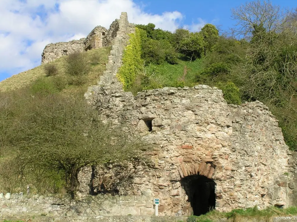Photo de Castle de Berwick (fragments, y compris les tours et les murs et les marches) - Historic England / Paul Adams
