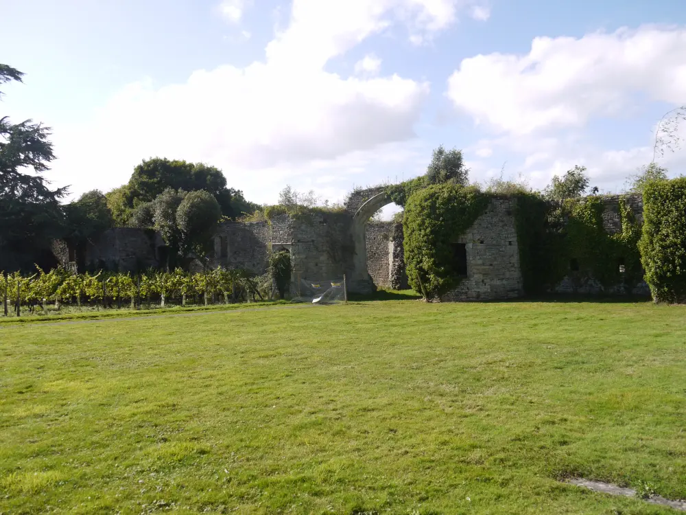 Photo de Cour extérieure du château de Thornbury et des murs de la cour de cuisine - Historic England