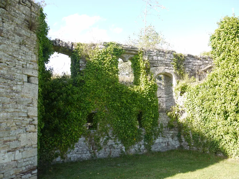 Photo de Cour extérieure du château de Thornbury et des murs de la cour de cuisine - Historic England