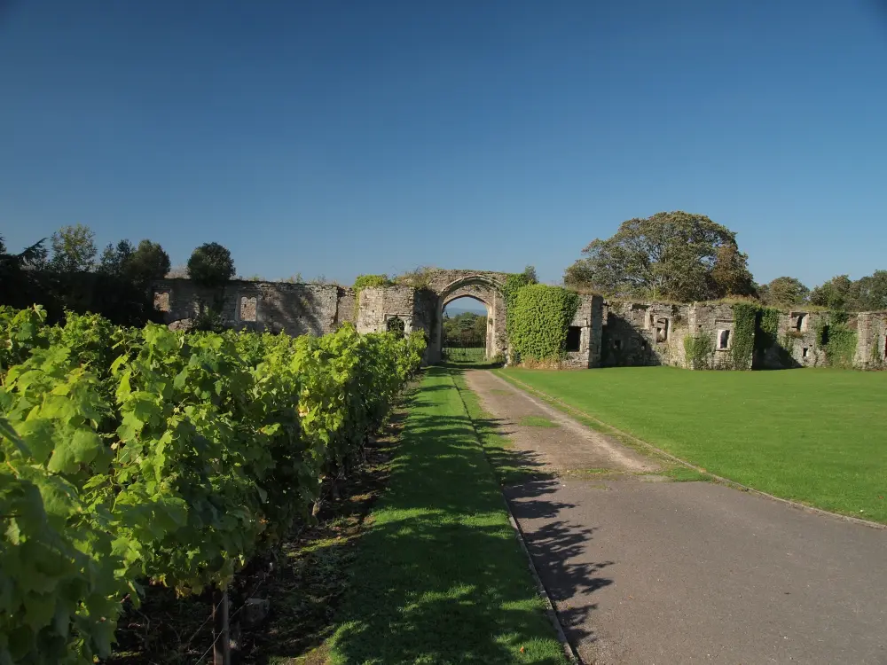 Photo de Cour extérieure du château de Thornbury et des murs de la cour de cuisine - Historic England