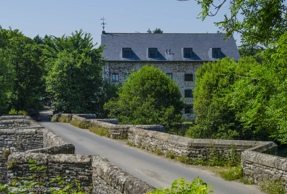 Photo de Bridge de Staverton - Historic England