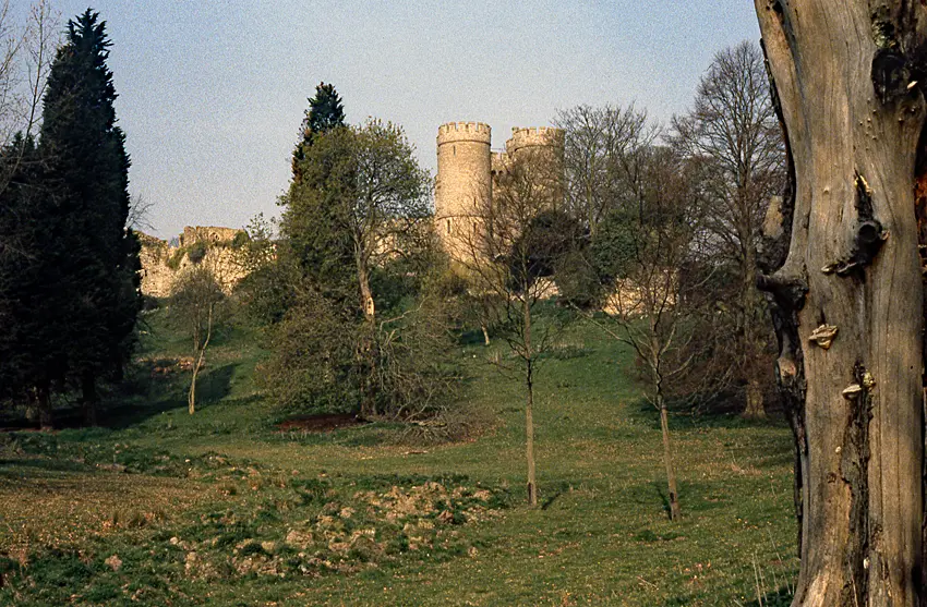 Foto de Castillo de Saltwood - Historic England