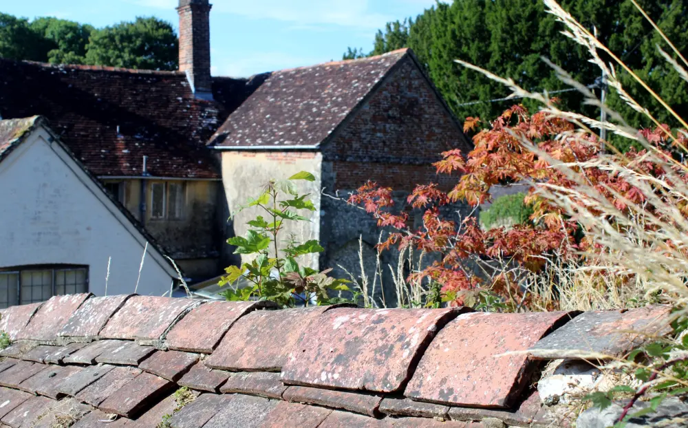 Foto von Herrenfarm und Mauer, die nach Nordosten laufen - Historic England