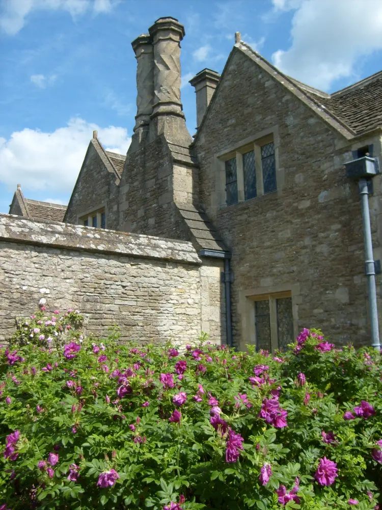 Photo de Manoir de Hazelbury - Historic England